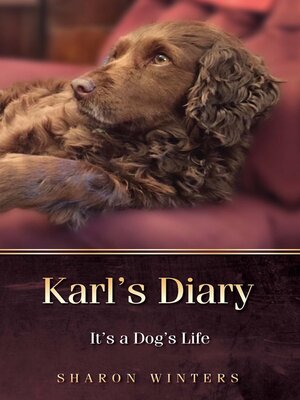 cover image of Karl's Diary